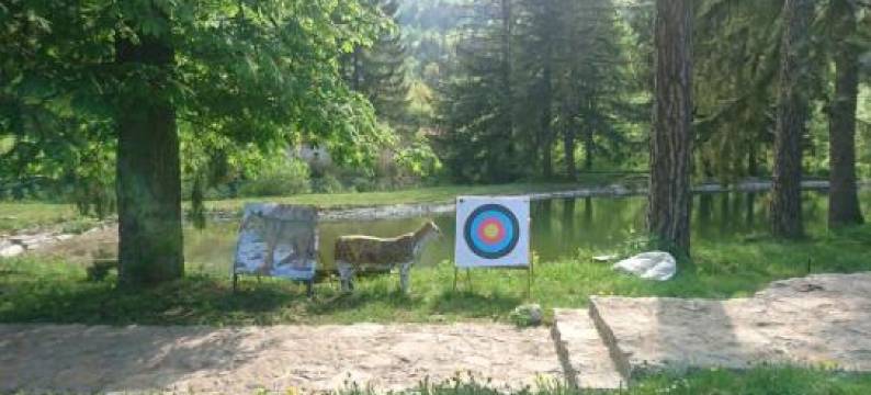 拉多戈斯旅馆(Musical Pansion Radgost, Rtanj)图片