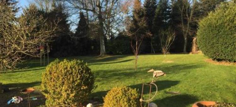 Linas Wohlfühloase Hameln图片