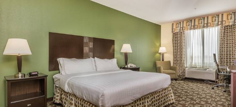 杜马智选假日酒店及套房(Holiday Inn Express & Suites Dumas)图片