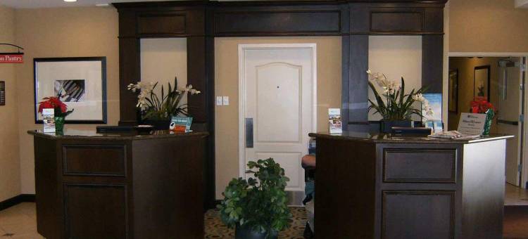 莱克兰希尔顿花园酒店(Hilton Garden Inn Lakeland)图片