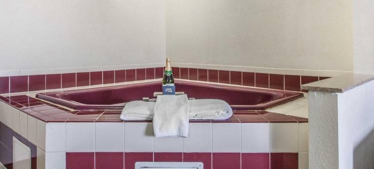 I-90 及阿什塔比拉区舒眠套房酒店(Sleep Inn & Suites Near I-90 and Ashtabula)图片