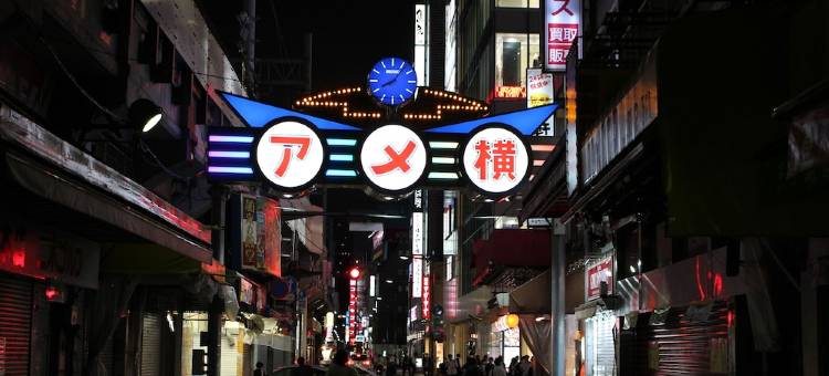 东京秋叶原多美迎温泉酒店(多美迎・御宿野乃 酒店集团)(Dormy Inn Akihabara Hot Spring)图片