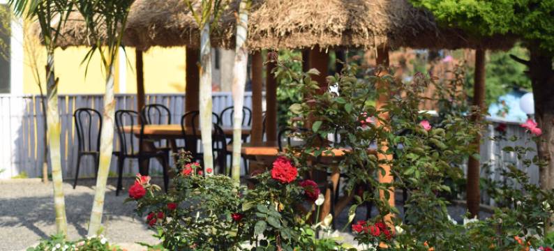 湖区假日度假村(Lakezone Holiday Resort)图片