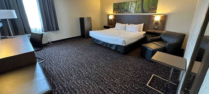 艾伯特王子会议中心戴斯酒店(Days Inn & Conference Centre by Wyndham Prince Albert)图片