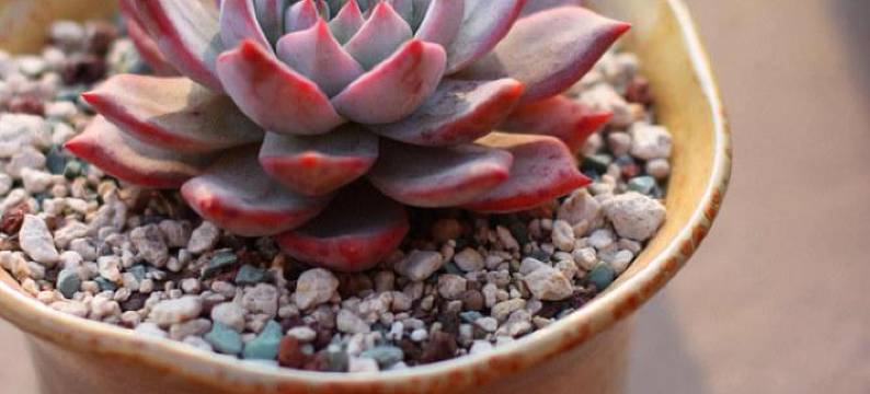 丹东东港高铁景区临近海鲜市场可做饭大炕普通公寓(碧海路店)图片