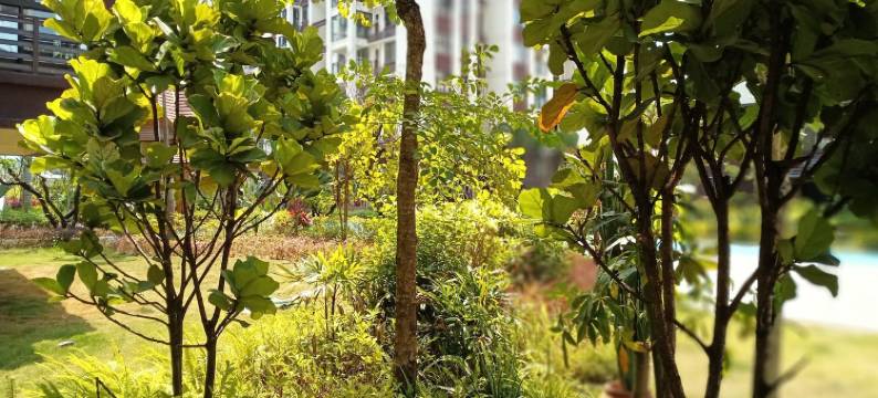 管家小岳岳民宿(么龙路分店)图片