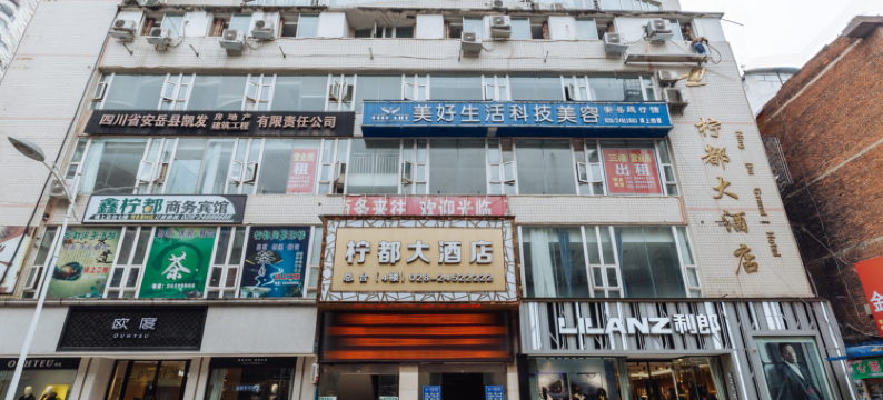 安岳柠都大酒店图片