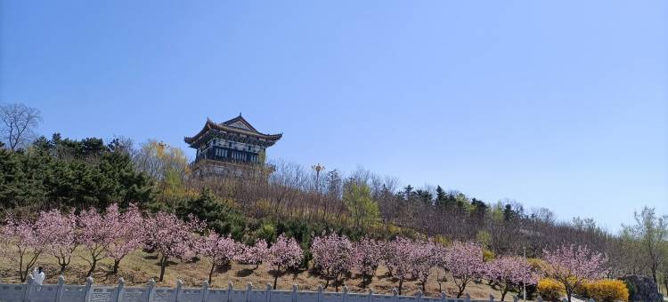 山海广场宝来小筑(平安西街分店)图片