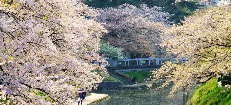 富山日航都市酒店(Hotel JAL City Toyama)图片