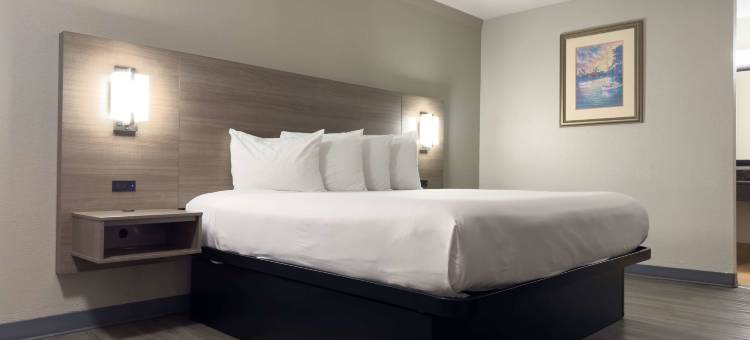 奥斯汀大学美洲最佳价值旅馆(Americas Best Value Inn Austin)图片