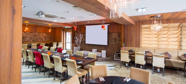 莫斯科伊兹麦罗瓦丽柏酒店(Park Inn by Radisson Izmailovo Moscow)图片