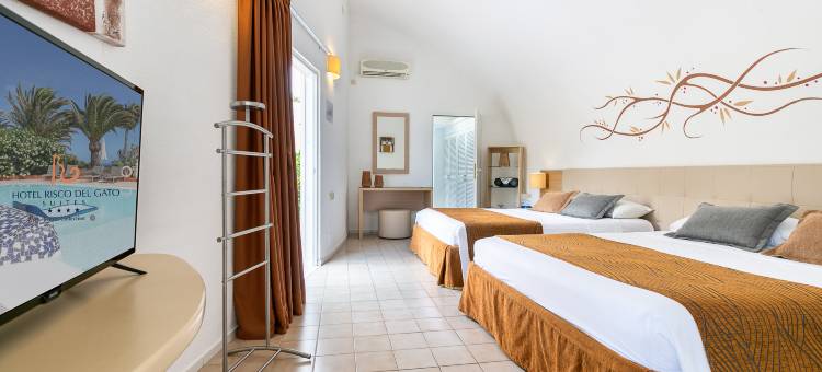 加托里斯柯套房 LIVVO 酒店(Hotel LIVVO Risco del Gato Suites)图片