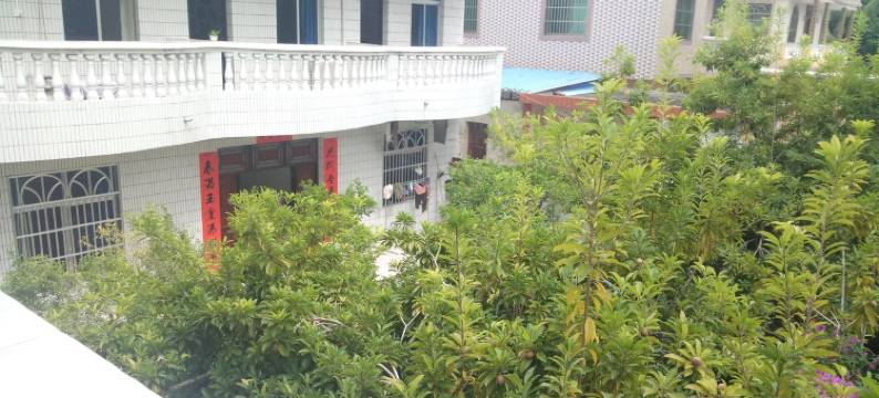 东郊椰园民宿(椰林湾路分店)图片