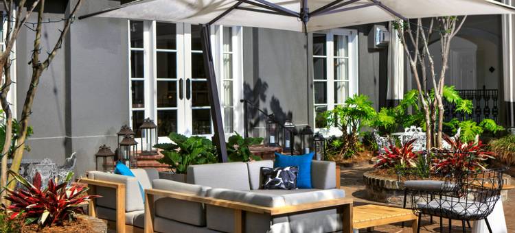 布赖斯金普顿酒店(Kimpton BRICE HOTEL by IHG)图片