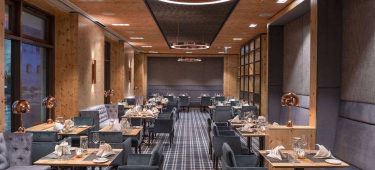 英戈尔斯塔特马里蒂姆酒店(Maritim Hotel Ingolstadt)图片