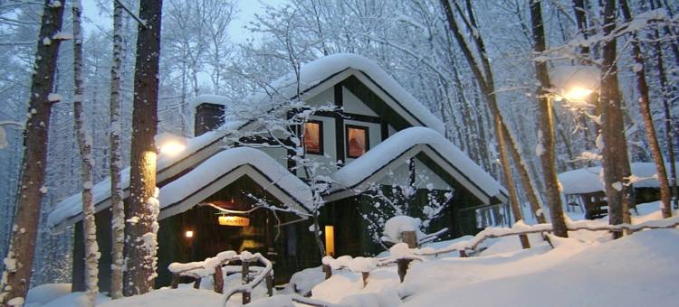 北海道富良野拉维斯塔天然温泉酒店(多美迎・御宿野乃 酒店集团)(La Vista Furano Hills Natural Hot Spring)图片