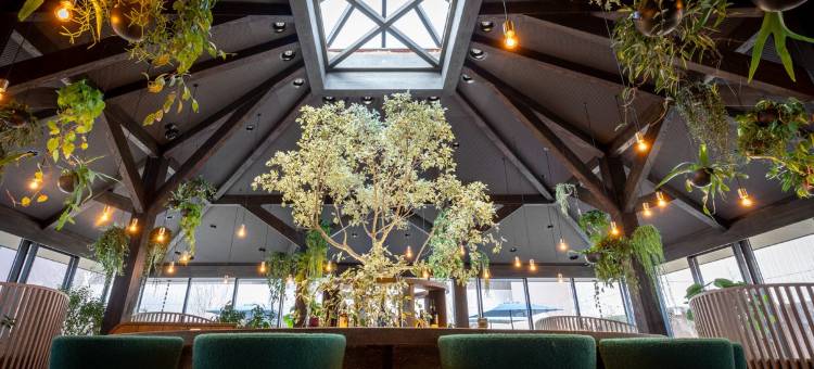 馥府 轻井泽阳光之风(Fufu Karuizawa Wind of Sunshine)图片