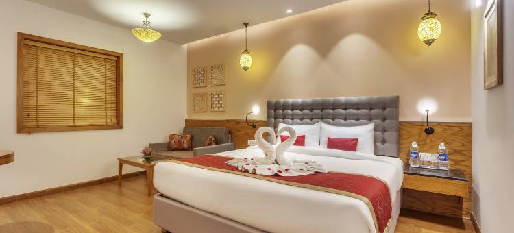 新德里哈里纳加尔金色郁金香酒店(Golden Tulip New Delhi - Hari Nagar)图片