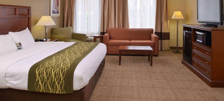迪克森舒适酒店(Comfort Inn)图片