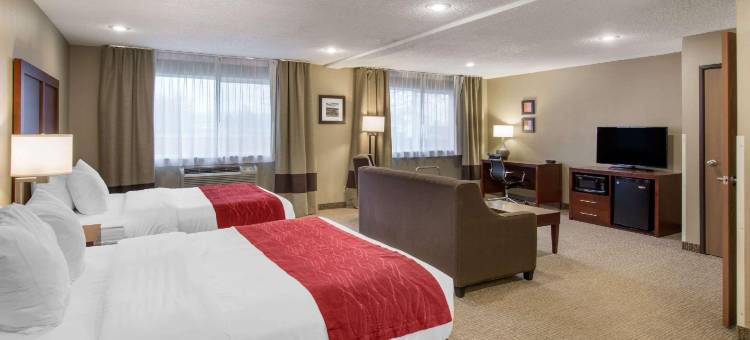 舒适酒店(Comfort Inn)图片