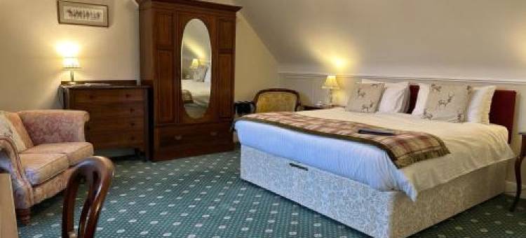 雷文斯考特旅馆(Ravenscourt House, Guest House)图片