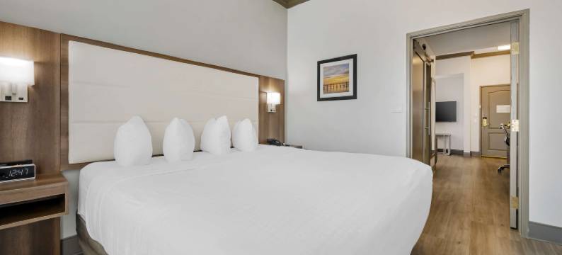 Best Western Plus First Coast Inn  Suites图片