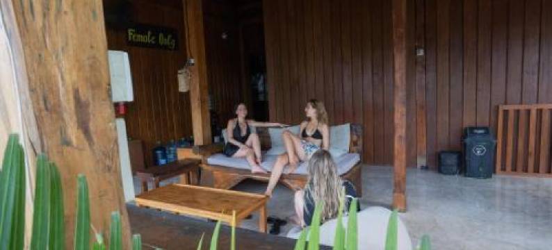 巴厘岛农场旅馆(The Farm Hostel)图片