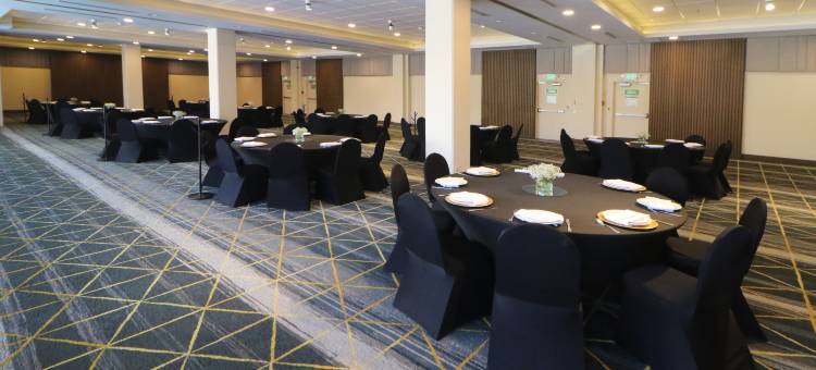 Holiday Inn 提华纳ZONA德尔里奥(Holiday Inn Tijuana Zona Rio)图片