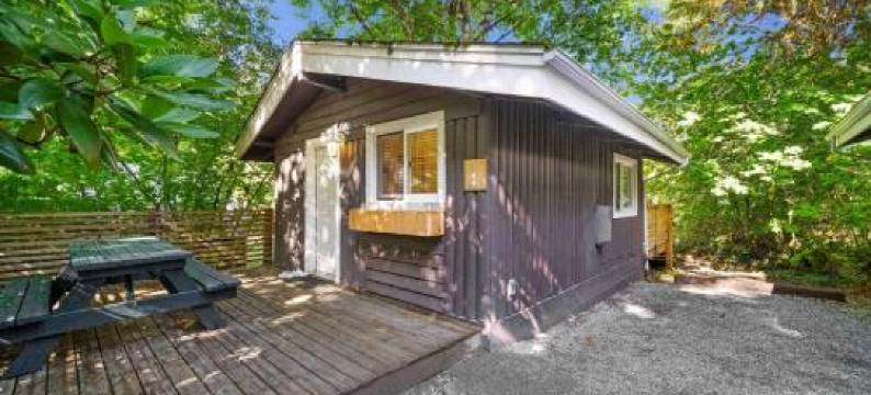 桑沃夫河滨小屋度假村(Sunwolf Riverside Cabins)图片