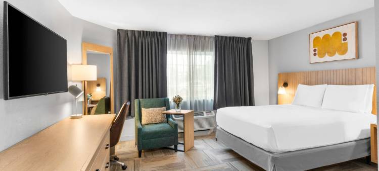 奥斯汀南索尼斯塔简单套房酒店(Sonesta Simply Suites Austin South)图片