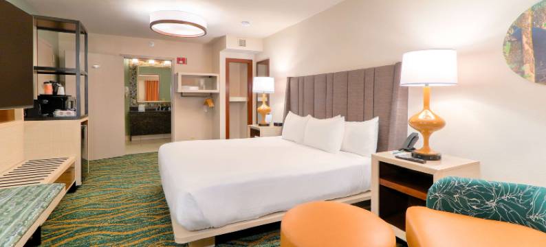 凯艺酒店-近鸽子谷岛(Quality Inn Near the Island Pigeon Forge)图片