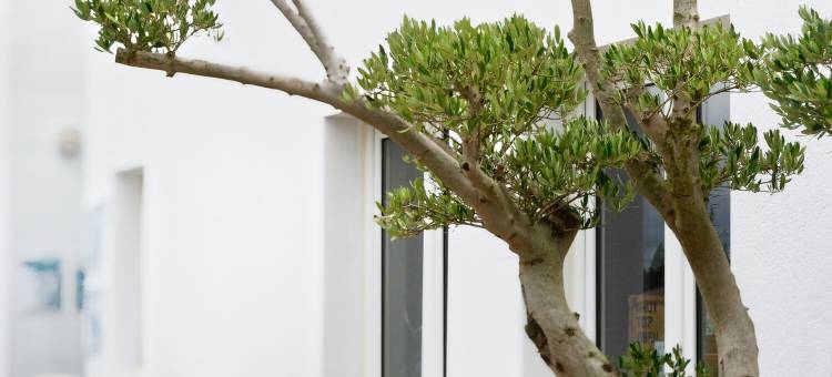 圣布里厄基里亚德直营酒店 - 会展中心(Kyriad Direct Saint-Brieuc - Parc des Expositions)图片