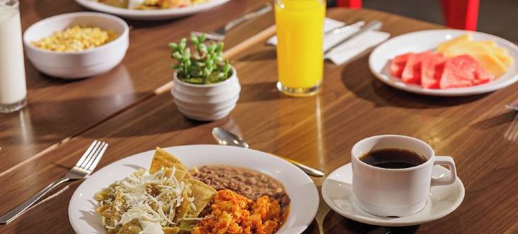 墨西哥广场酒店伊拉普阿托(Hotel México Plaza Irapuato)图片