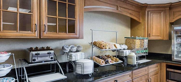 机场舒适套房酒店(Comfort Suites Airport)图片