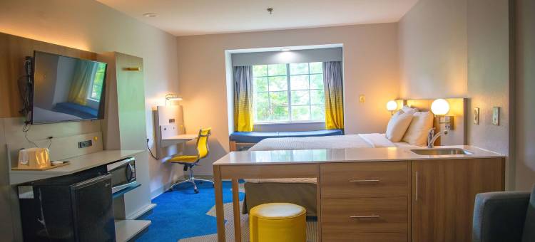 代弗尼-莫比尔麦客达套房酒店(Microtel Inn & Suites by Wyndham Daphne/Mobile)图片