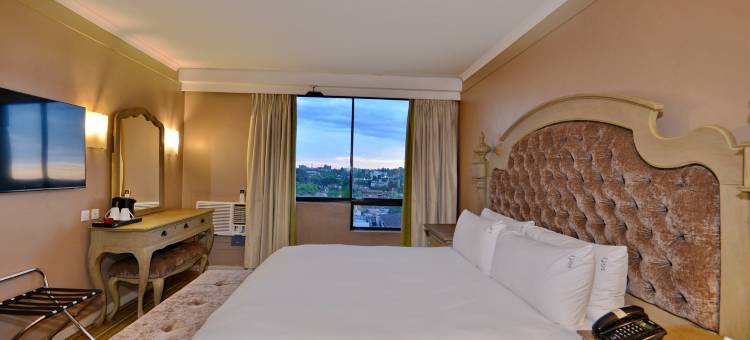 哈拉雷假日酒店(Holiday Inn Harare)图片