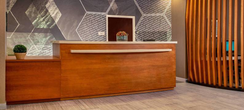 SpringHill Suites Centreville Chantilly图片