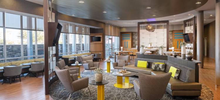 米德兰敖德萨万豪SpringHill Suites 酒店(SpringHill Suites Midland Odessa)图片