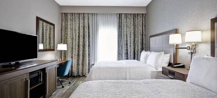 辛辛那提-布鲁艾施欢朋酒店(Hampton Inn Blue Ash Cincinnati)图片