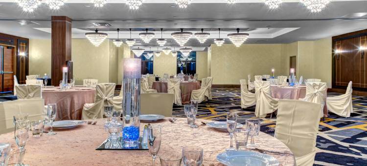 阿林顿南达拉斯沃斯堡国际机场希尔顿逸林酒店(Doubletree by Hilton Arlington DFW South)图片