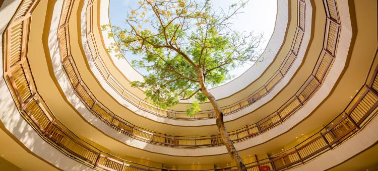 克斯特拉公园酒店(Hotel Parque da Costeira)图片