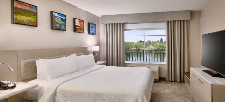 爱达荷福尔斯希尔顿花园酒店(Hilton Garden Inn Idaho Falls)图片