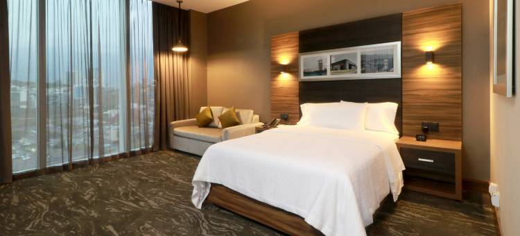 蒙特雷欧比斯帕多希尔顿花园酒店(Hilton Garden Inn Monterrey Obispado)图片