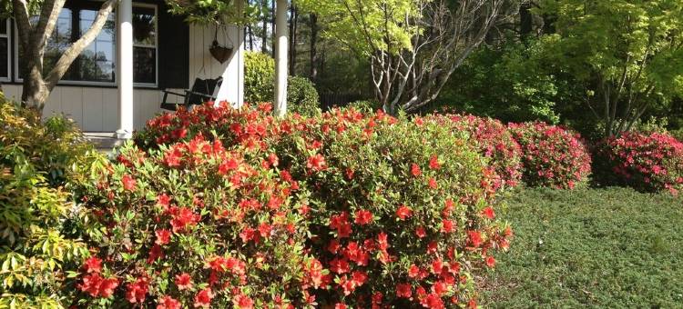 坦格伍德农场-狐狸窝套房马场内1卧1卫私人公寓(Tanglewood Farm - Fox Den Suite 1 Br/1BA Private Apartment on Horse Farm)图片