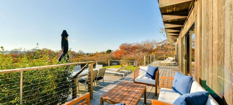 Menemsha Pond views & access! Mid-century renovated beach house. Dogs welcome.图片