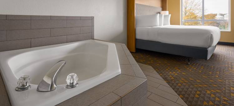 Holiday Inn 信任标记园珠(Holiday Inn Pearl - Jackson Area)图片