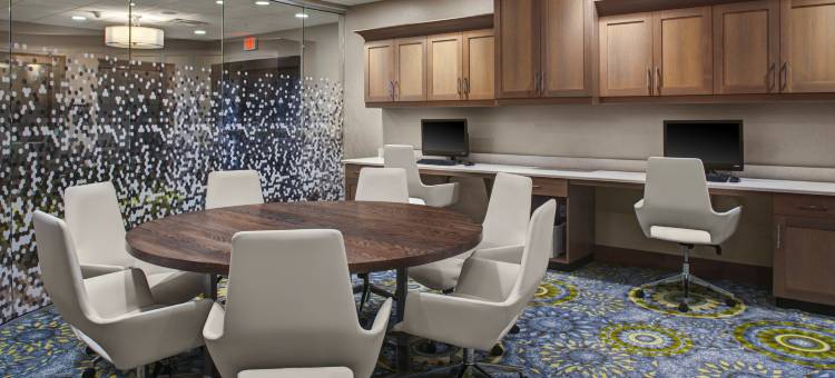 雪城华美达酒店(Hampton Inn & Suites Syracuse-North (Airport Area))图片