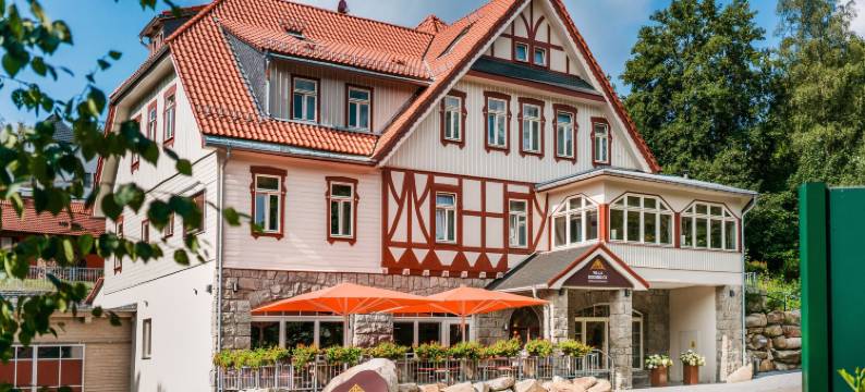 博德布里克别墅酒店(Hotel Villa Bodeblick)图片