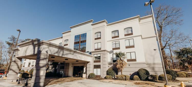 洲际酒店集团智选假日酒店亚特兰大东北I-85克莱尔蒙特(Holiday Inn Express Atlanta NE - I-85 Clairmont)图片