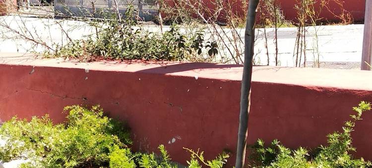 B&B Vecchia Darsena 旧码头(B&B Vecchia Darsena)图片